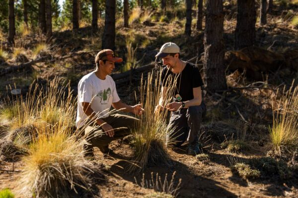 Sometimes the best thing you can do for nature is… to step back.