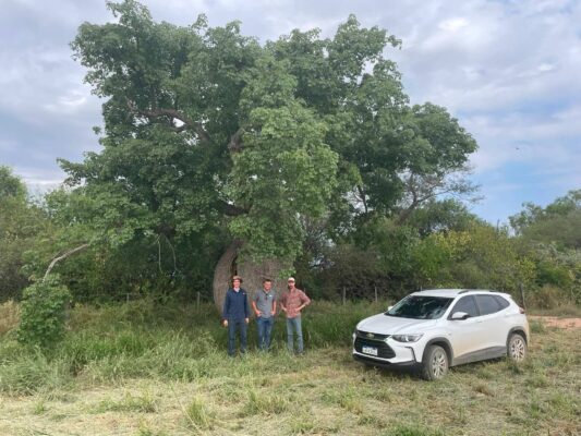 On the Road Through Paraguay: Trust, Conservation, and the Landscape That Shapes It All