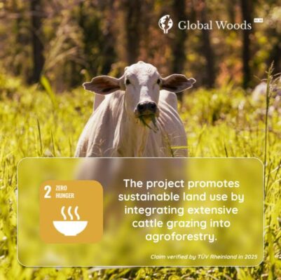 Forestal Río Aquidabán contributes to 8 SDGs, officially certified by TÜV Rheinland.