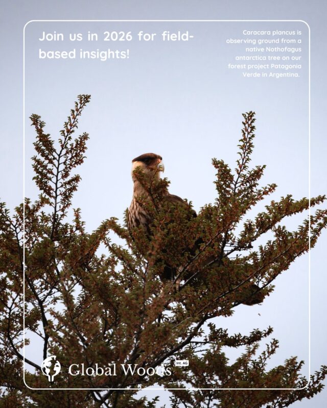 In 2025, we went deep on Forestal Río Aquidabán (Paraguay) and shared what we usually only discuss in diligence calls: the on-the-ground work.