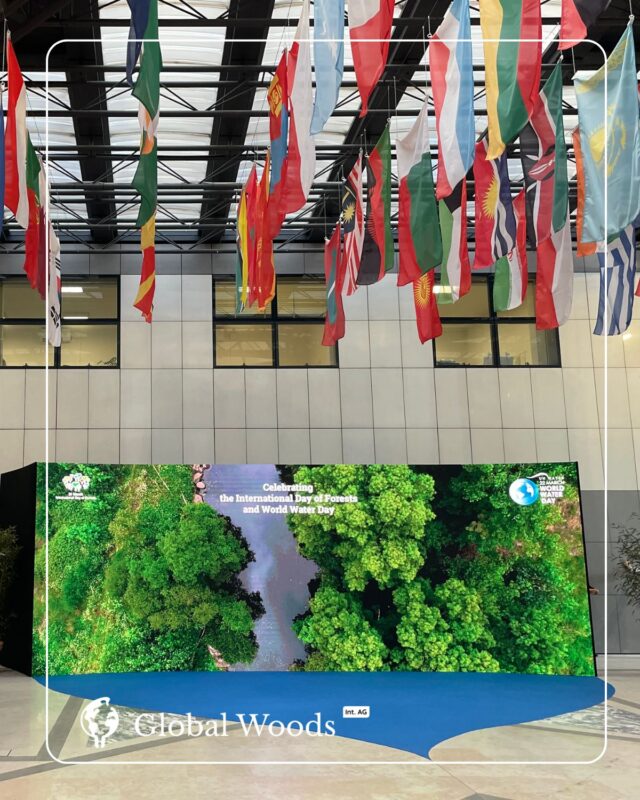 🌲Happy International Forest Day to all the tree lovers and nature enthusiasts!🌳